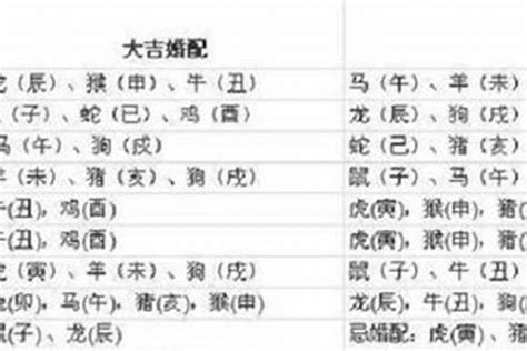 1997生肖五行|97年属什么 97年属什么命